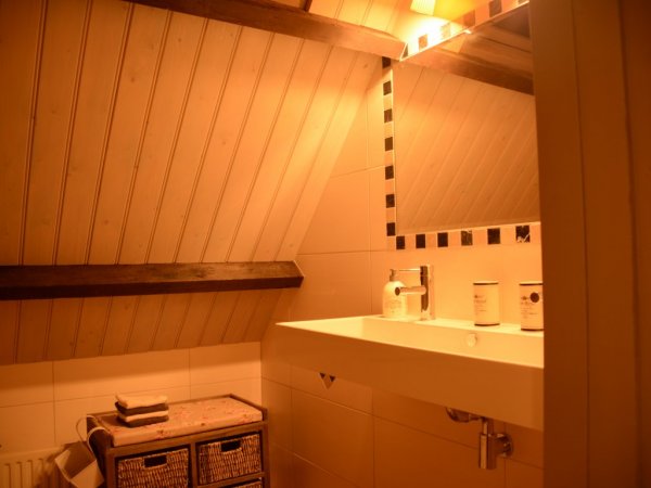 Badkamer boven, met groot ligbad en regendouche