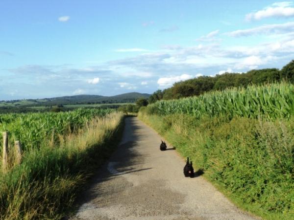 wandeling langs het plateau