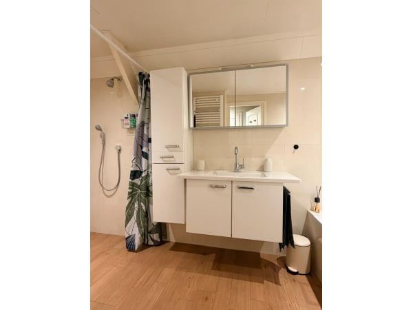 Boshuis Eersel badkamer