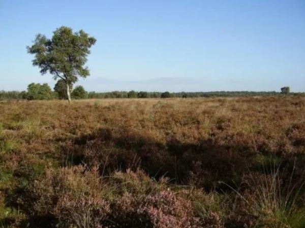 Cartierheide Eersel